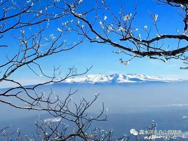 点数大战