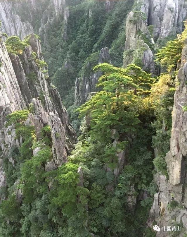 「快来定活通怎么设置比例,解答你心中的疑问!」