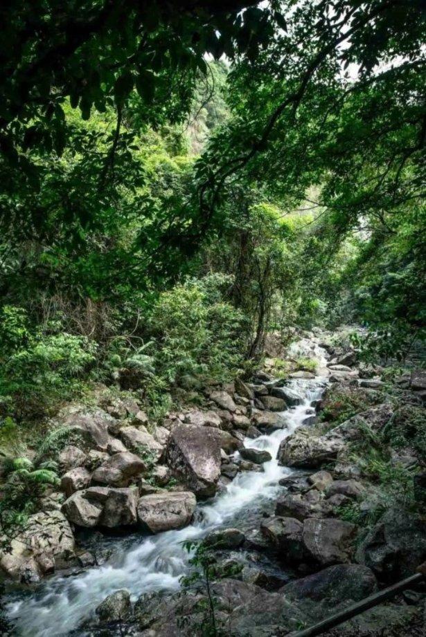 屠龙破晓