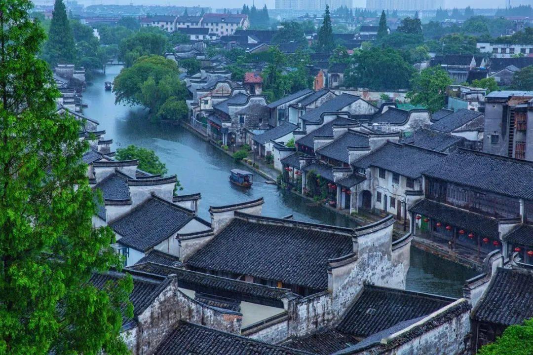 植物大战僵尸4